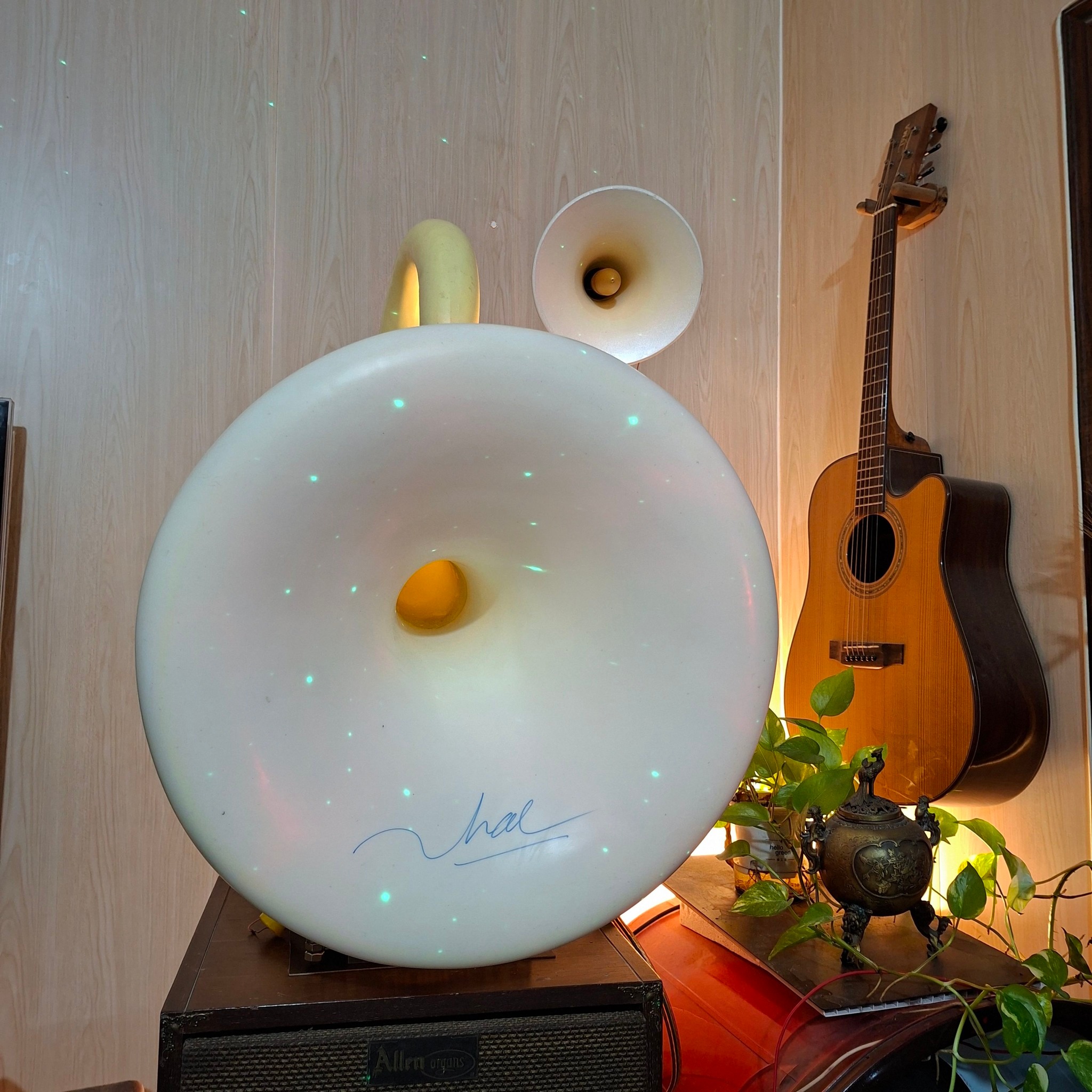 Trang Công Thái instrument section image 1